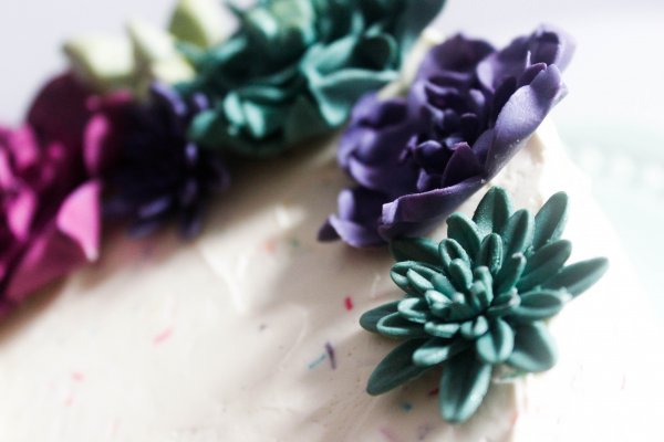 ResizedImage600400 MG 5913 2