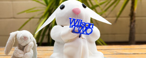 IMG 9229 banner