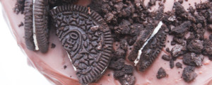 MG 7069 banner
