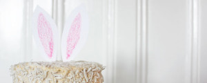 MG 7323 banner