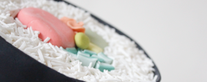SushiCake Banner