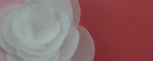 Wafer Paper Banner