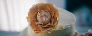 pro cake crop