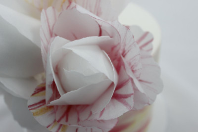 MG 6189 peony close 5