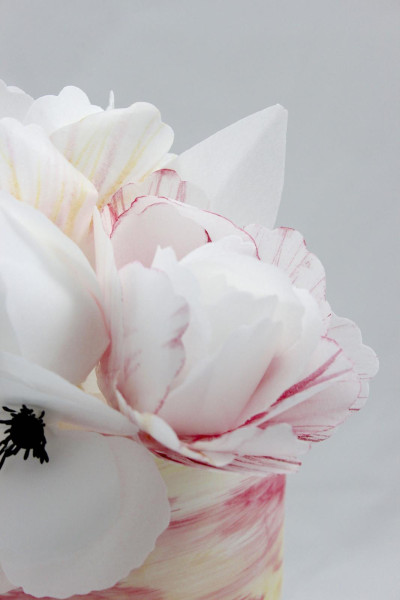MG 6189 peony close