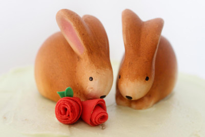 MG 7285 bunnies and roses web