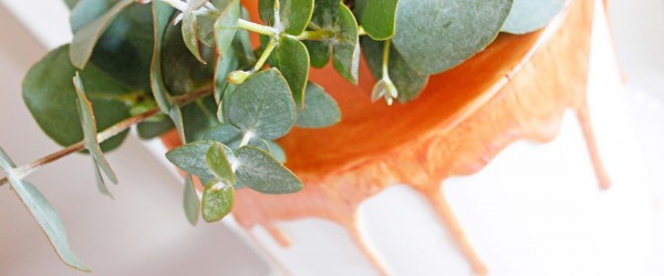 MG 7302 foliage banner web